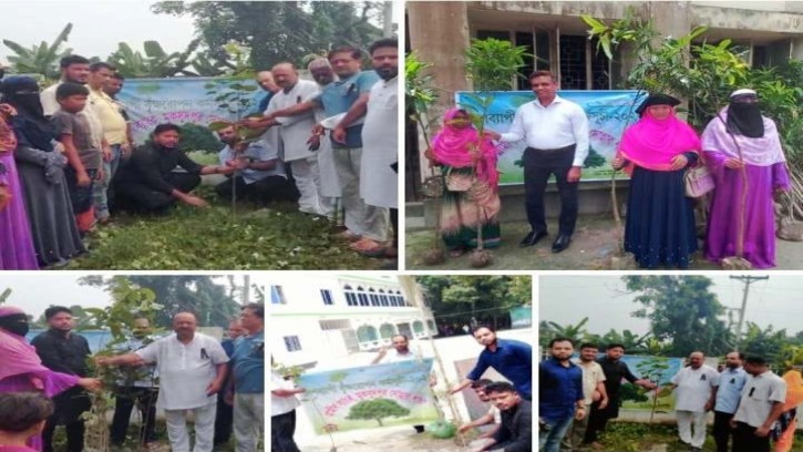 গ্রামীন ব্যাংক মুকসুদপুর দোহার শাখার বৃক্ষরোপণ