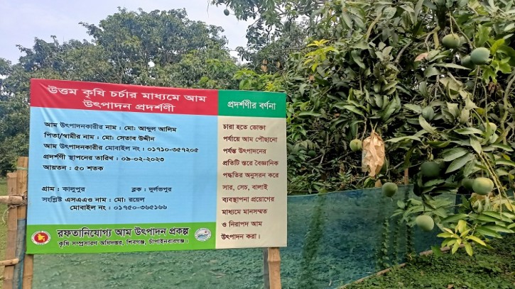 রপ্তানিযোগ্য আম উৎপাদন প্রকল্পে স্বপ্ন দেখছেন চাঁপাইনবাবগঞ্জের কৃষক