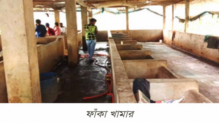 পিরোজপুরের এক রাতে ১৩টি গরু চুরি