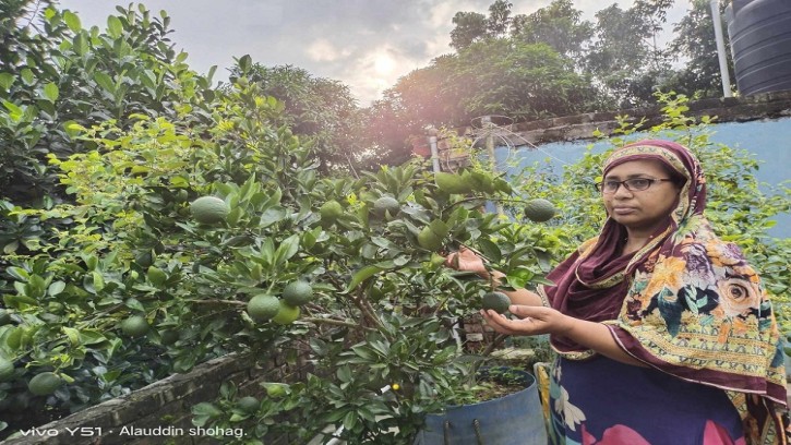 পাইকগাছায় ছাদে বাগান গড়েছেন প্রধান শিক্ষক খালেদা খাতুন