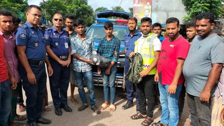 পিরোজপুরে গাঁজাসহ ২ মাদক ব্যবসায়ী গ্রেপ্তার