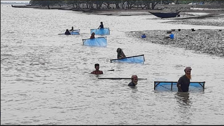 নদীতে নেট জালের রেনু-পোনাতেই চলে তাদের সংসার