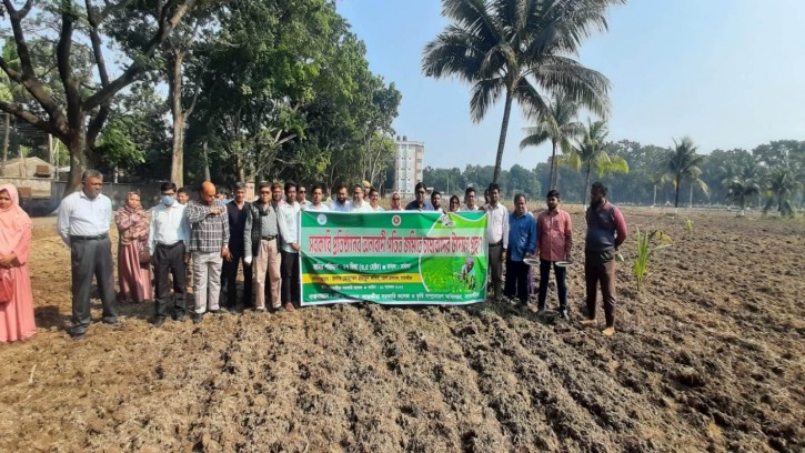 সাতক্ষীরা সরকারি কলেজের পতিত জমিতে সরিষা ও সূর্যমুখী চাষের উদ্যোগ