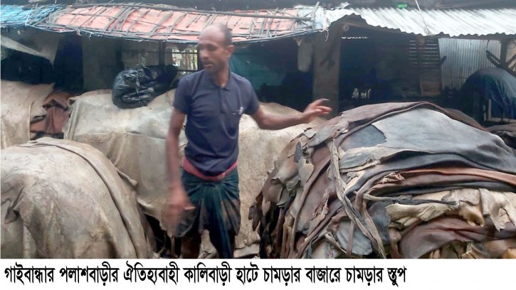 পলাশবাড়ীতে  চামড়ার বাজারের সোনালী অতীত যেন শুধুই স্মৃতি