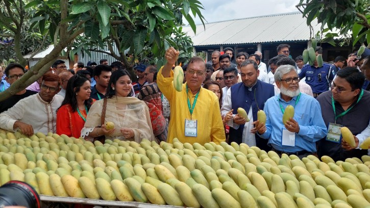 রাষ্ট্রদূতরা ঘুরে গেলেন চাঁপাইনবাবগঞ্জের আম বাগান