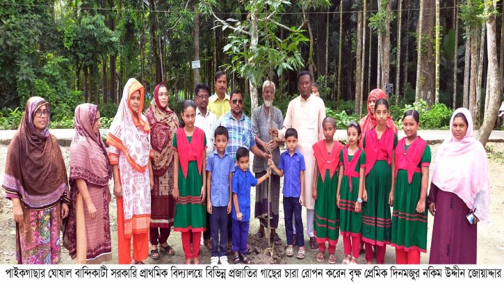 পাইকগাছার বিভিন্ন প্রতিষ্ঠানে গাছের চারা রোপন