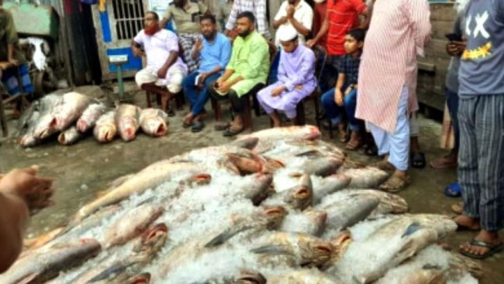 ১৪ দিনের ব্যবধানে ফের ধরা পড়ল ২৫ লাখ টাকার লাক্ষা মাছ