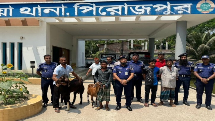 রাজাপুরে প্রতিবন্ধীর চুরি হওয়া ২ ছাগল পিরোজপুর থেকে উদ্ধার, গ্রেপ্তার ২