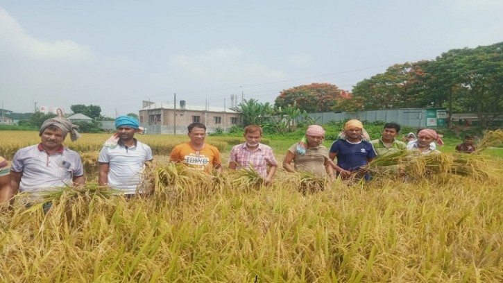 গোয়ালন্দে কৃষকের পাশে কৃষক লীগ