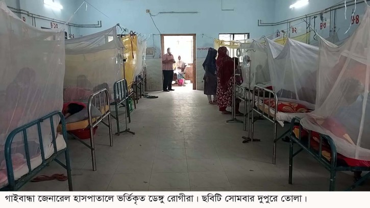 গাইবান্ধায় ডেঙ্গু রোগীর সংখ্যা বৃদ্ধি পাচ্ছে