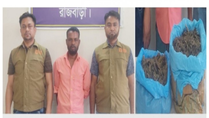 রাজবাড়ীতে গাজা সহ লতিফ গ্রেপ্তার, পালিয়েছে লালচাঁদ