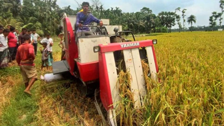 পিরোজপুরে কম্বাইন হারভেসটারে ধানকাটা কর্মসূচি উদ্বোধন