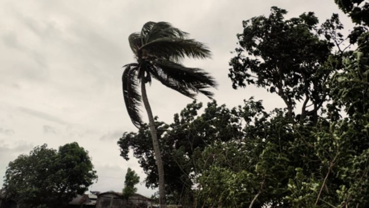 পিরোজপুরে পানির স্রোতে ভেঙে গেছে বেড়িবাঁধ 