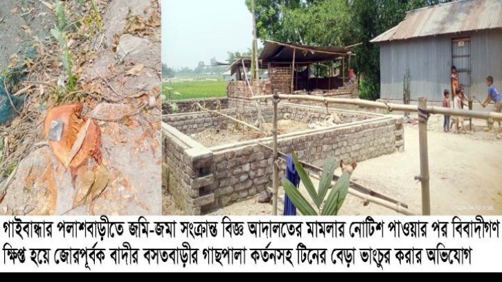 পলাশবাড়ীতে বসতবাড়ীতে হামলা গালপালা কর্তন : থানায় জিডি