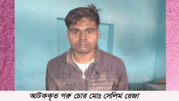 শিবগঞ্জে জনতার হাতে আটক গরু চোরকে পুলিশের সোপর্দ