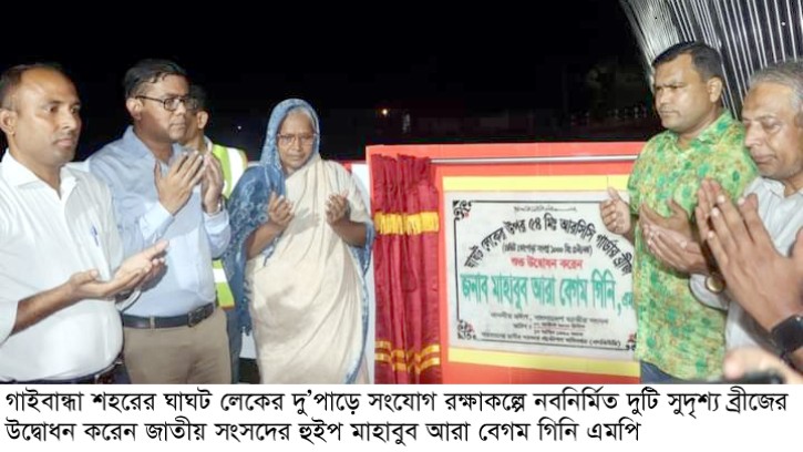 শেখ হাসিনার আমলেই ব্যাপক উন্নয়ন হয়েছে: হুইপ গিনি এমপি