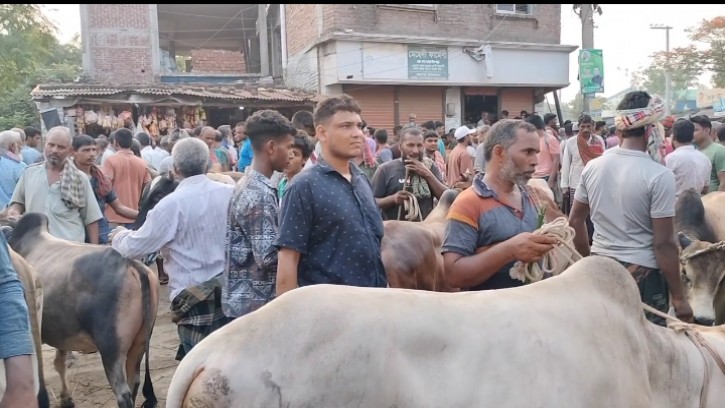 চাঁপাইনবাবগঞ্জ জেলায় গবাদি পশুর হাটগুলো অতিরিক্ত টোল আদায়ের অভিযোগ
