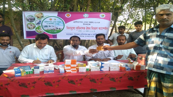 শিবগঞ্জে গবাদি পশুকে টিকা প্রদান
