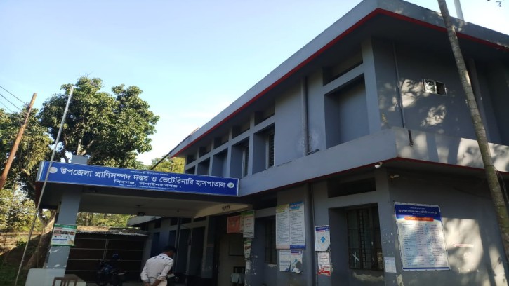 জনবল সংকটে শিবগঞ্জ প্রাণী সম্পদ অফিস, প্রতিকারের উদ্যোগ নেই