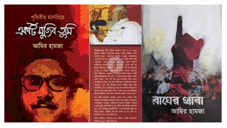 সাহিত্যে আমির হামজার স্বাধীনতা পুরস্কার প্রাপ্তি নিয়ে ব্যাপক সমালোচনা 