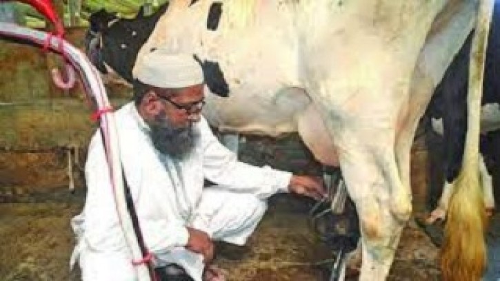 খামারজুড়ে কর্মব্যস্ততা খায়রুল বাশারের