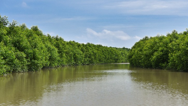 প্রাকৃতিক সৌন্দর্যের লীলাভূমি ভোলার চর কুকরি-মুকরি