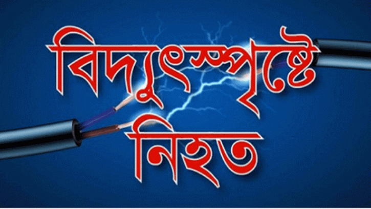 পলাশবাড়ীতে বিদ্যুৎস্পৃষ্ট হয়ে শিক্ষার্থী নিহত