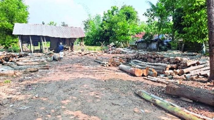 মধুপুরে ১৫ হাজার একর বনভূমি দখল: