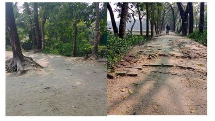 লক্ষ্মীপুর কমলনগরের জনগুরুত্বপূর্ণ আমানীয়া রোডের বেহাল দশা!