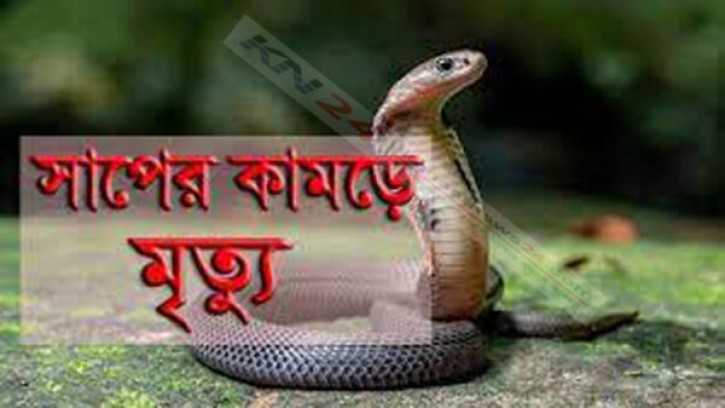 শিবগঞ্জে সাপের কামড়ে যুবকের মুত্যু