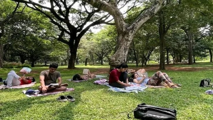 গাছের ছায়ায় বই পড়ার দারুণ ট্রেন্ড