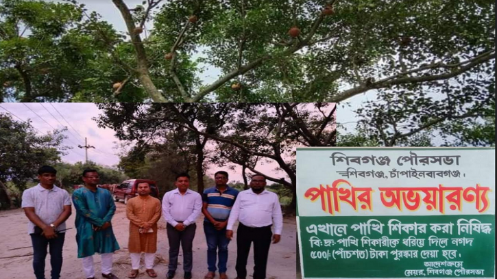 পাখির অভয়ারণ্য হচ্ছে ঐতিহাসিক শিবগঞ্জে