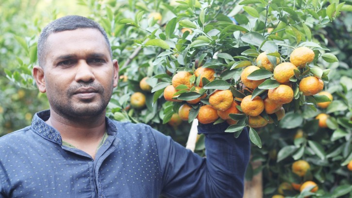 বছরে তিন লাখ টাকা আয়ের স্বপ্ন কমলা চাষি ইউসুফ আলীর