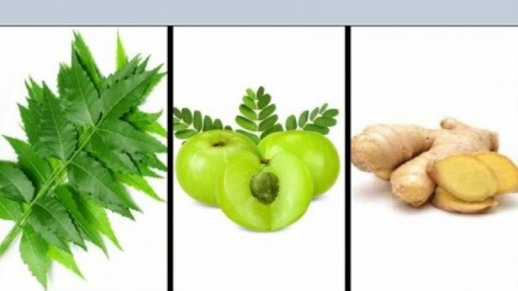 শীতে সুস্থ থাকতে যে তিন ভেষজ জরুরি