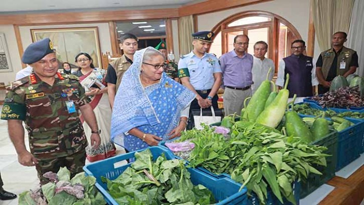 টুঙ্গিপাড়ার পতিত জমিতে চাষ করা সবজি গণভবনে