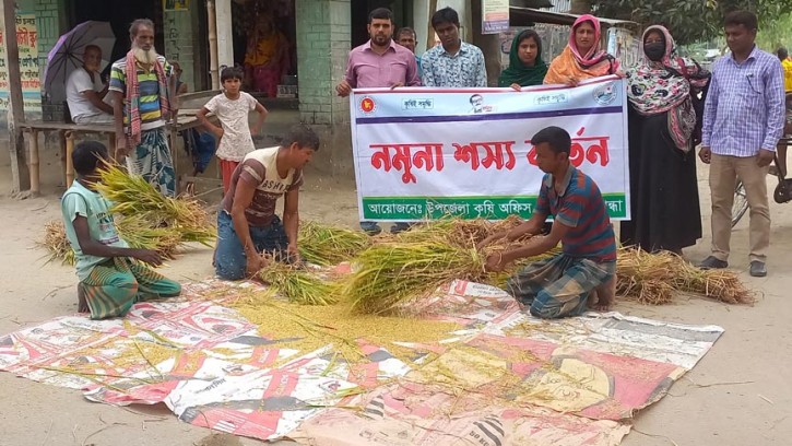 গাইবান্ধায় আনুষ্ঠানিকভাবে ধান কর্তন ও মাড়াই