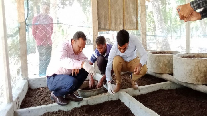 শার্শায় বাড়ছে ভার্মি কম্পোস্ট সারের ব্যবহার