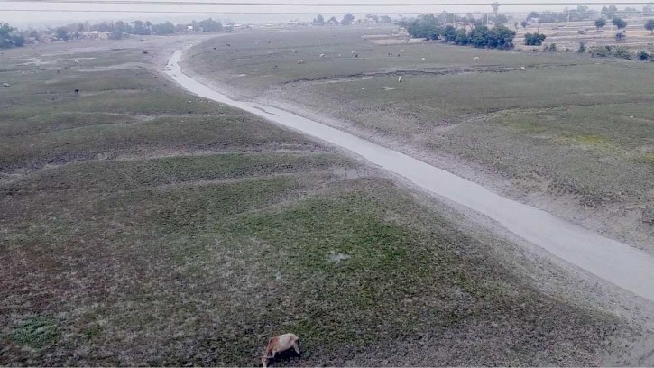 পাইকগাছার শিবসা নদী এখন গো-চরণ ভুমি